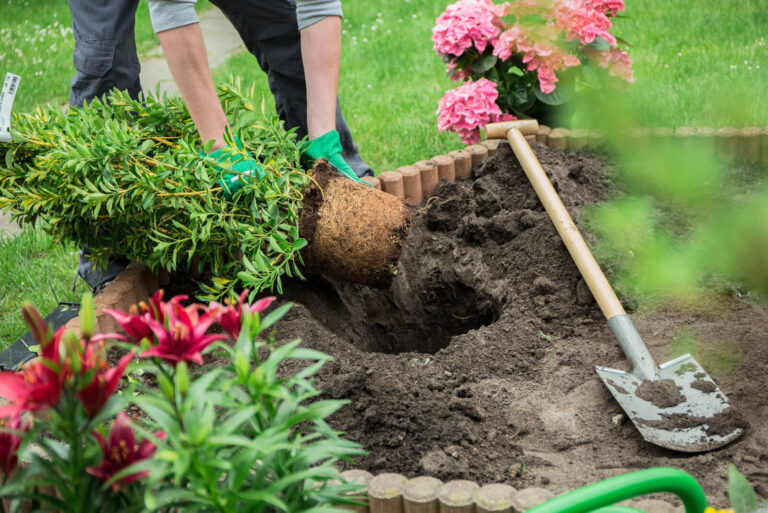 Gartenpflege Kassel Umgebung