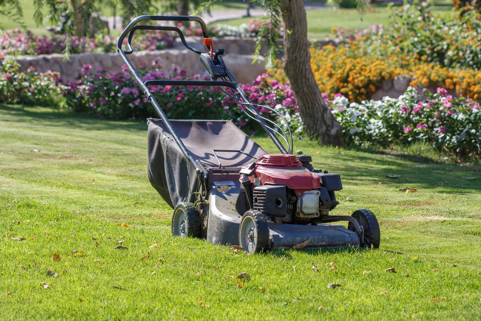 Hausmeisterservice Gartenpflege